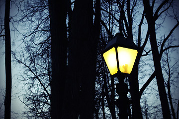 Image showing Street light and silhouettes of trees