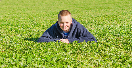 Image showing Pretty boy lying on the fresh grass