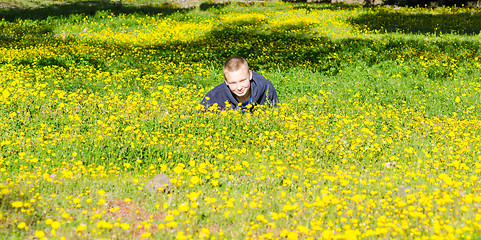 Image showing Pretty boy laying on the spring flowering field