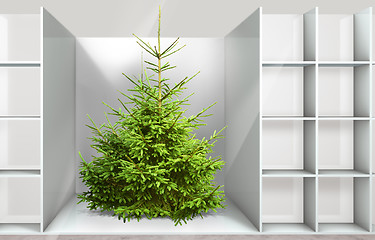 Image showing Christmas tree on the shelf