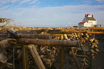 Image showing Stock fish by lighthouse