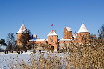 Image showing People recreate Trakai fort snow frozen lake reeds 