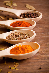 Image showing Various spices