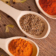 Image showing closeup spices on spoon