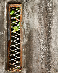 Image showing grunge wall background texture