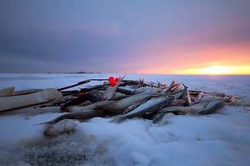 Image showing catch on Baltic