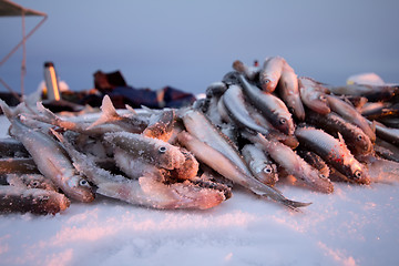 Image showing catch on Baltic