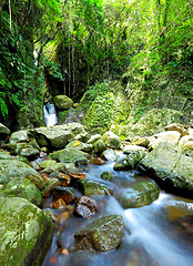 Image showing Forest with waterfall