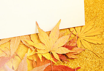 Image showing Greeting card with maple 