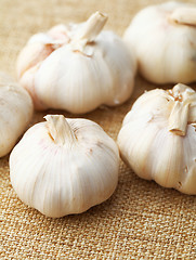 Image showing Garlic 