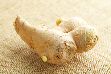 Image showing Ginger on linen background 