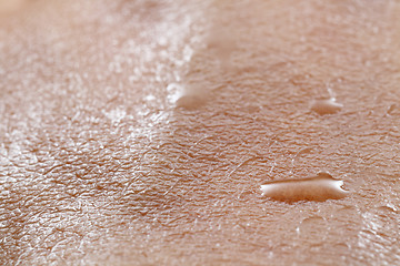 Image showing Skin sweated close up