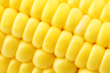 Image showing Corn close up