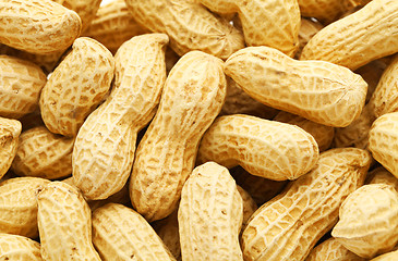 Image showing Pile of peanut 