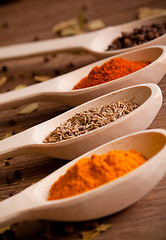 Image showing Various spices