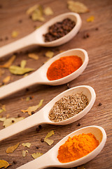 Image showing Various spices