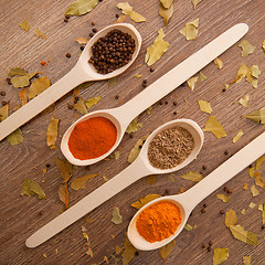 Image showing spices in the spooins