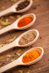 Image showing Various spices