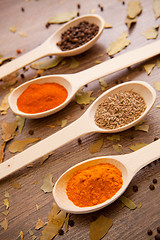 Image showing spices - pepper, curry, chilli, caraway