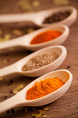 Image showing Various spices