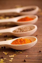 Image showing Various spices