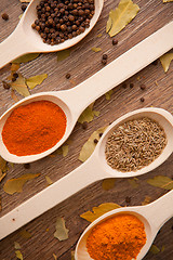 Image showing spices - pepper, curry, chilli, caraway