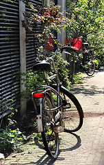 Image showing Amsterdam bicycle 