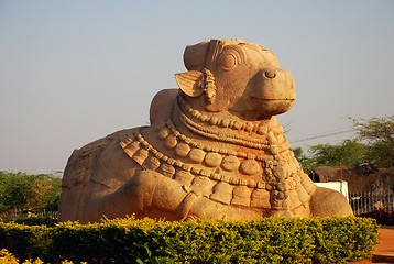 Image showing Nandi, baby bull