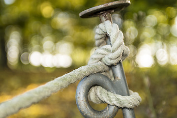 Image showing rope knot