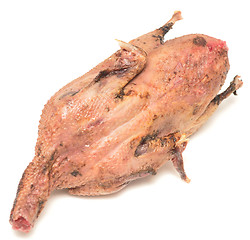 Image showing raw duck