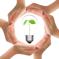 Image showing Hands and light bulb with plant inside