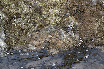 Image showing manure detail