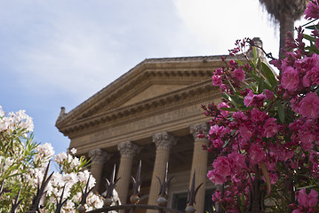 Image showing Teatro Massimo with flowers