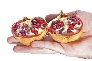 Image showing fresh pomegranate in hand