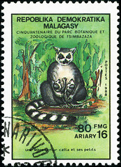 Image showing REPULLICA MALAGASY - CIRCA 1988: A stamp printed in Malagasy (Ma