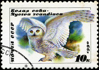 Image showing USSR - CIRCA 1990: A stamp printed in USSR showing owl, circa 19