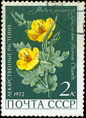 Image showing USSR - CIRCA 1972: A stamp printed in USSR show Glaucium flavum,