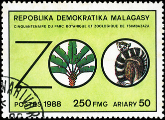 Image showing REPULLICA MALAGASY - CIRCA 1988: A stamp printed in Malagasy (Ma