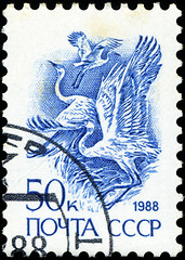 Image showing USSR - CIRCA 1988: A stamp printed in USSR (Russia) shows White 