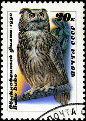 Image showing USSR - CIRCA 1990: A stamp printed in USSR showing owl, circa 19