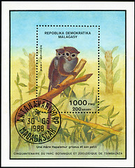 Image showing REPULLICA MALAGASY - CIRCA 1988: A stamp printed in Malagasy (Ma