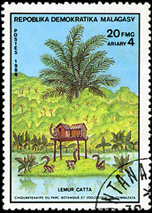 Image showing REPULLICA MALAGASY - CIRCA 1988: A stamp printed in Malagasy (Ma