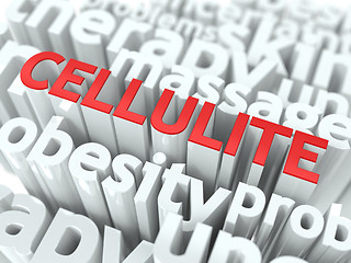 Image showing Cellulite. The Wordcloud Medical Concept.