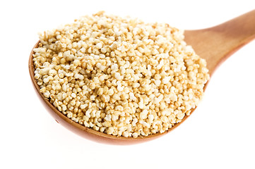 Image showing Amaranth popping, gluten-free, high protein grain cereal