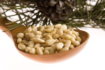 Image showing Pine nuts