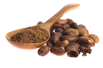 Image showing Cacao beans isolated on white background