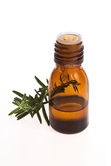 Image showing Rosemary oil
