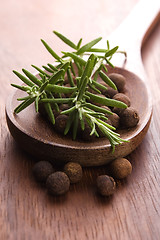 Image showing allspice with fresh rosemary