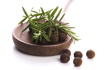 Image showing allspice with fresh rosemary