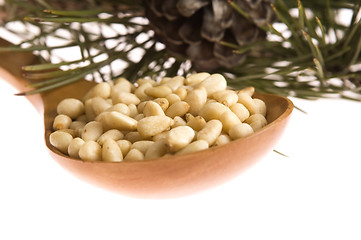 Image showing Pine nuts